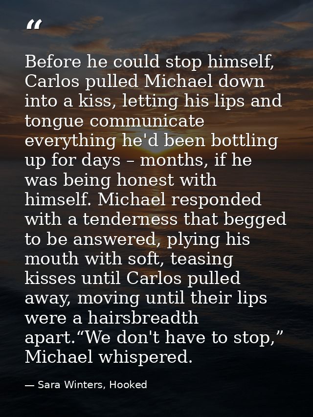 Before he could stop himself, Carlos pulled Michael down into a kiss, letting his lips and tongue communicate everything — Sara Winters, Hooked