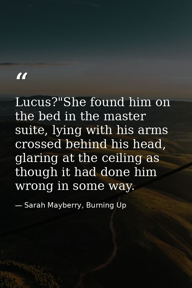 Lucus?"She found him on the bed in the master suite, lying with his arms crossed behind his head, glaring at the ceiling — Sarah Mayberry, Burning Up