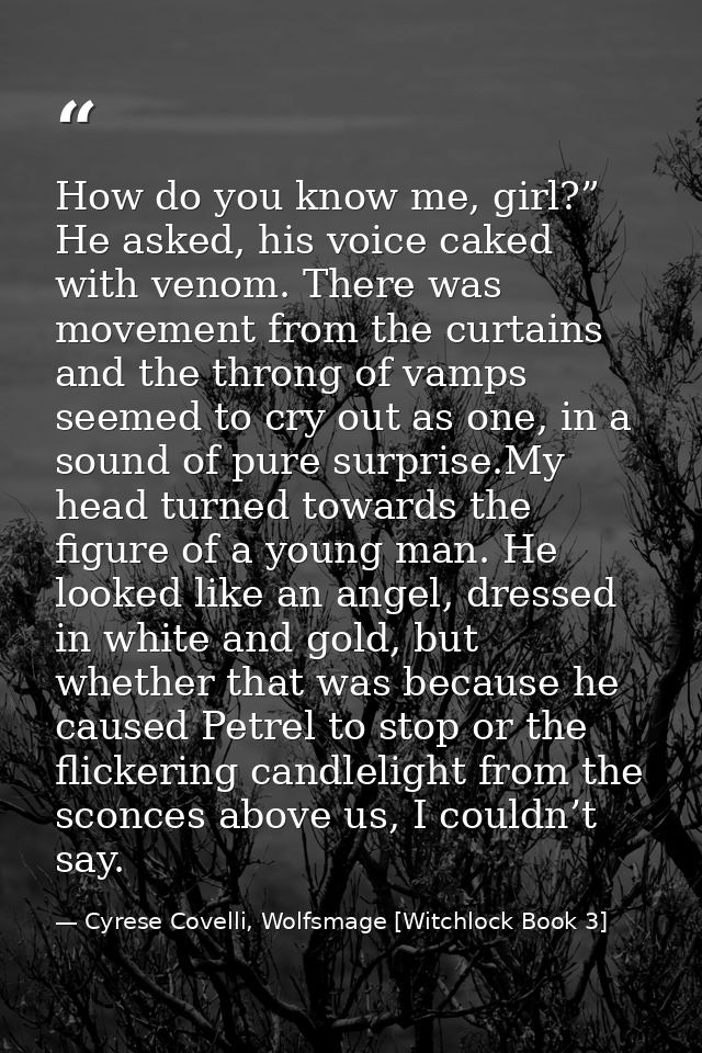 How do you know me, girl?” He asked, his voice caked with venom. There was movement from the curtains and the throng of  — Cyrese Covelli, Wolfsmage [Witchlock Book 3]