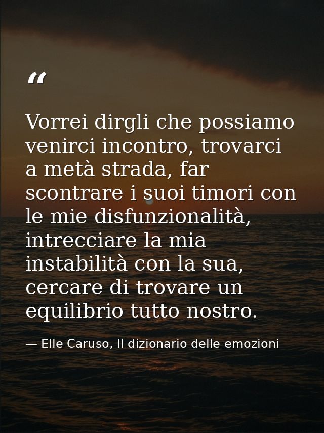 Vorrei dirgli che possiamo venirci incontro, trovarci a metà strada, far scontrare i suoi timori con le mie disfunzional — Elle Caruso, Il dizionario delle emozioni