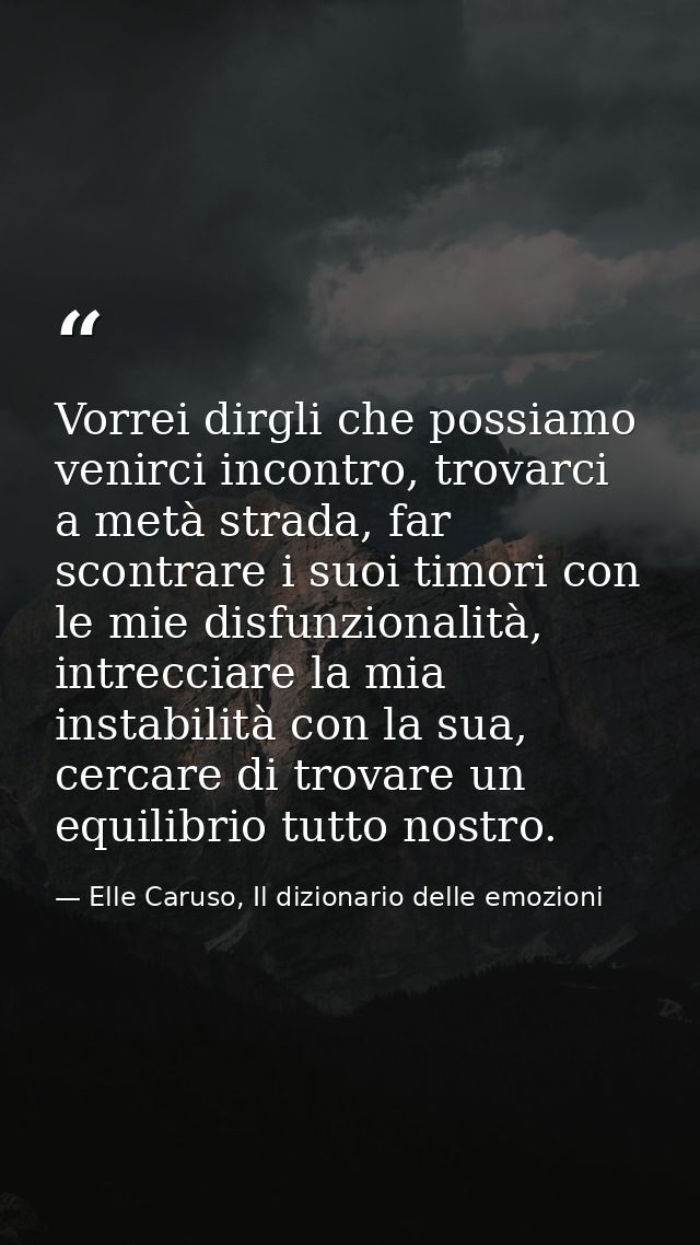 Vorrei dirgli che possiamo venirci incontro, trovarci a metà strada, far scontrare i suoi timori con le mie disfunzional — Elle Caruso, Il dizionario delle emozioni