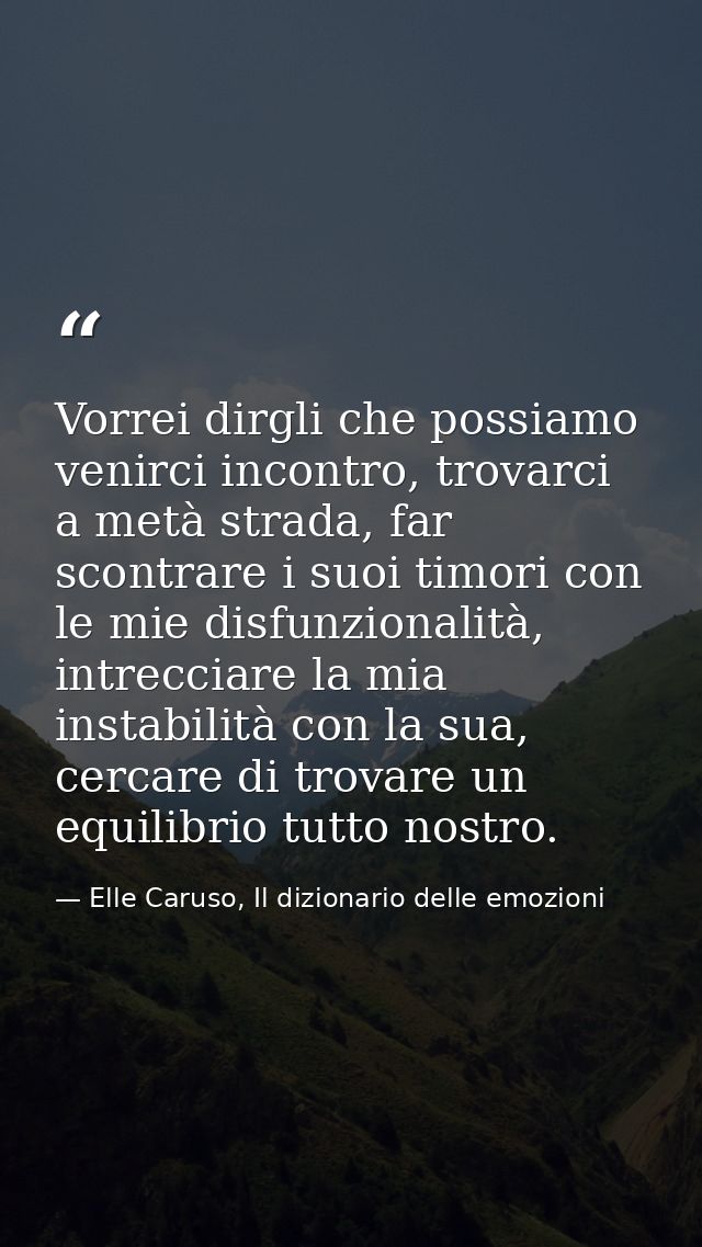Vorrei dirgli che possiamo venirci incontro, trovarci a metà strada, far scontrare i suoi timori con le mie disfunzional — Elle Caruso, Il dizionario delle emozioni