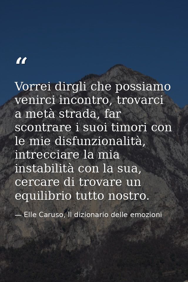 Vorrei dirgli che possiamo venirci incontro, trovarci a metà strada, far scontrare i suoi timori con le mie disfunzional — Elle Caruso, Il dizionario delle emozioni