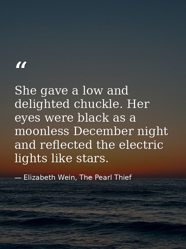 She gave a low and delighted chuckle. Her eyes were black as a moonless December night and reflected the electric lights — Elizabeth Wein, The Pearl Thief