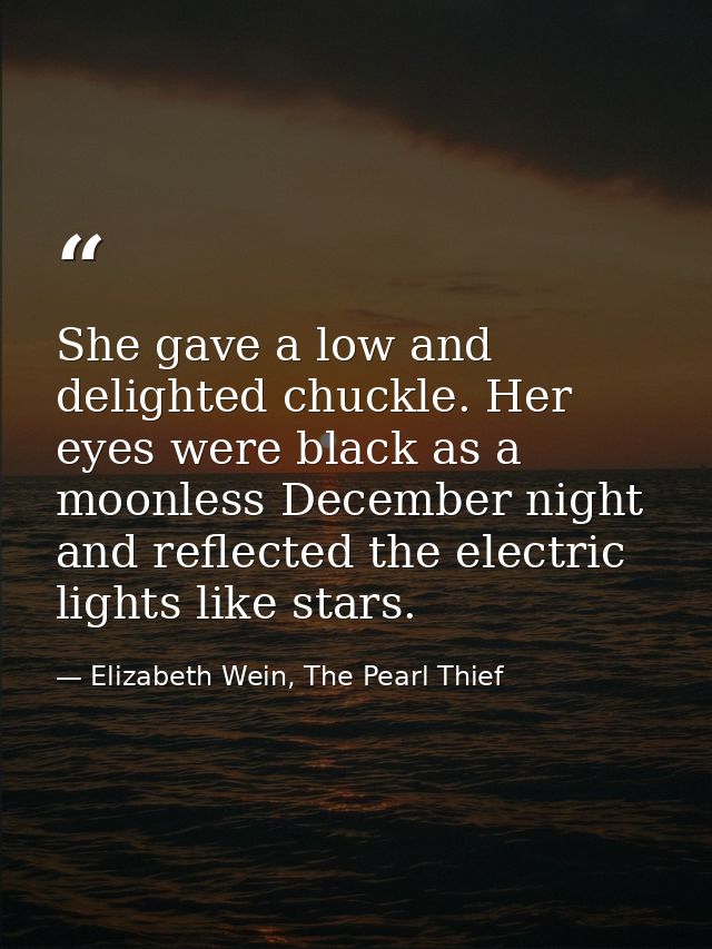 She gave a low and delighted chuckle. Her eyes were black as a moonless December night and reflected the electric lights — Elizabeth Wein, The Pearl Thief