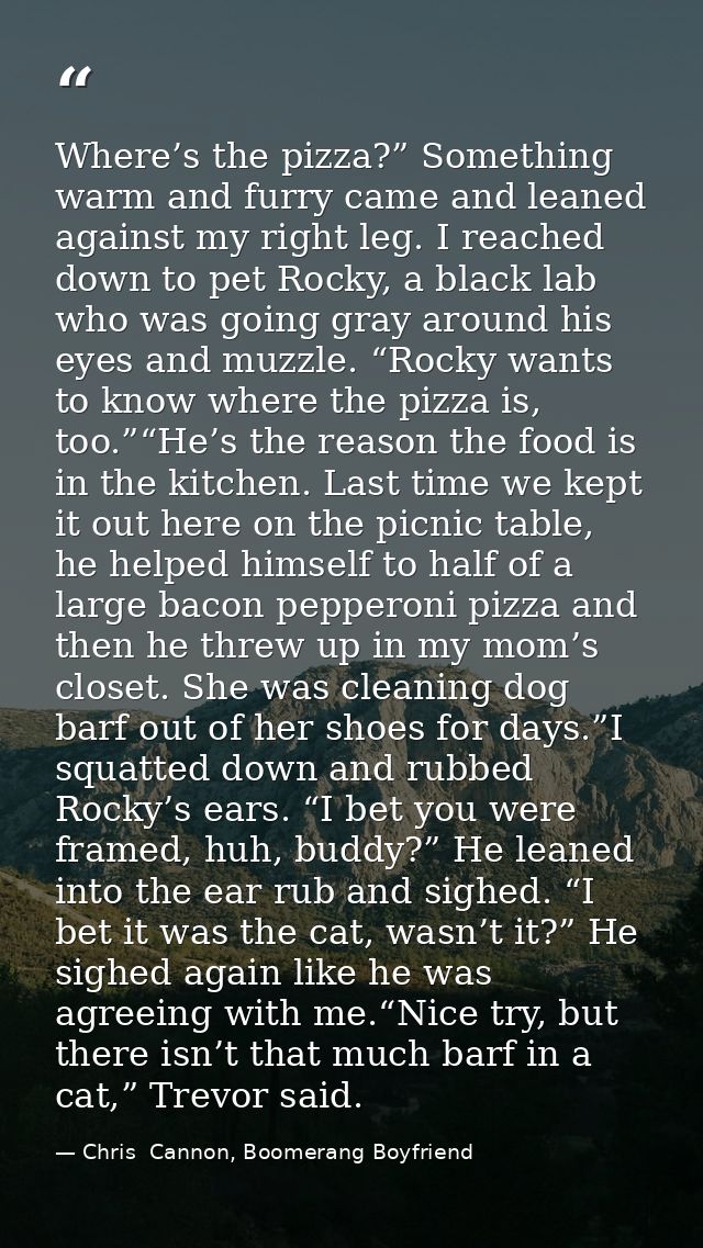 Where’s the pizza?” Something warm and furry came and leaned against my right leg. I reached down to pet Rocky, a black  — Chris  Cannon, Boomerang Boyfriend
