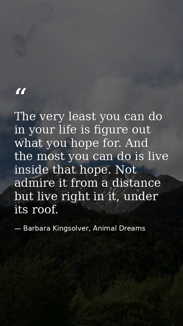 The very least you can do in your life is figure out what you hope for. And the most you can do is live inside that hope — Barbara Kingsolver, Animal Dreams