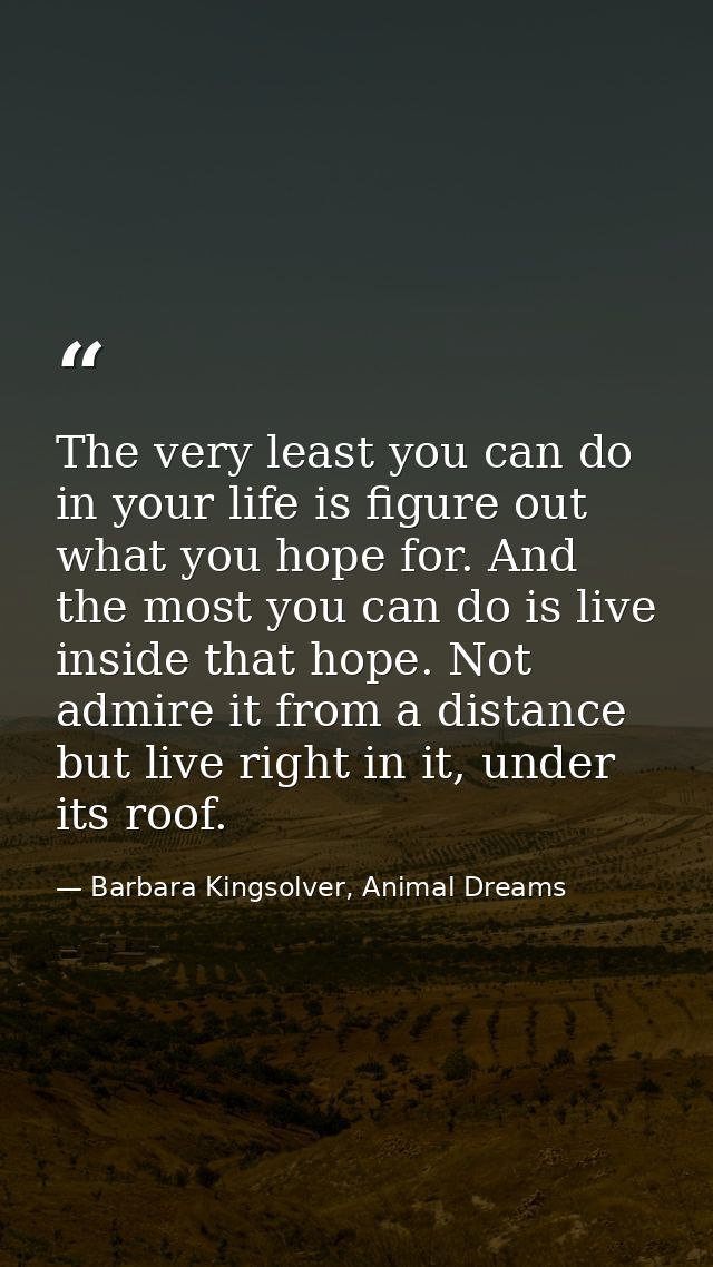 The very least you can do in your life is figure out what you hope for. And the most you can do is live inside that hope — Barbara Kingsolver, Animal Dreams