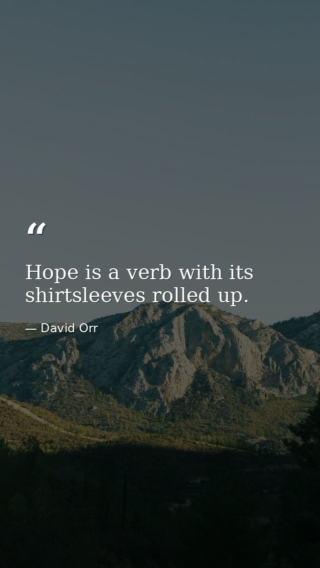 Hope is a verb with its shirtsleeves rolled up. — David Orr