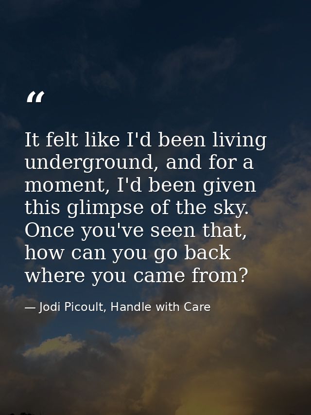 It felt like I'd been living underground, and for a moment, I'd been given this glimpse of the sky. Once you've seen tha — Jodi Picoult, Handle with Care