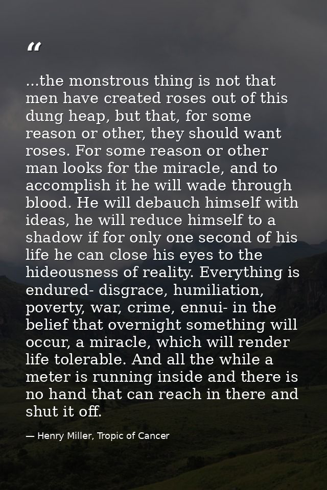 ...the monstrous thing is not that men have created roses out of this dung heap, but that, for some reason or other, the — Henry Miller, Tropic of Cancer