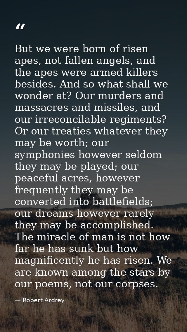 But we were born of risen apes, not fallen angels, and the apes were armed killers besides. And so what shall we wonder  — Robert Ardrey