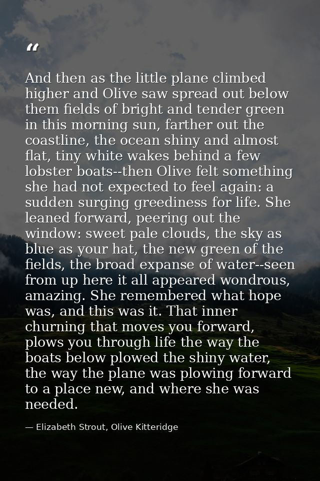 And then as the little plane climbed higher and Olive saw spread out below them fields of bright and tender green in thi — Elizabeth Strout, Olive Kitteridge