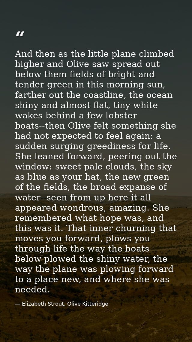 And then as the little plane climbed higher and Olive saw spread out below them fields of bright and tender green in thi — Elizabeth Strout, Olive Kitteridge