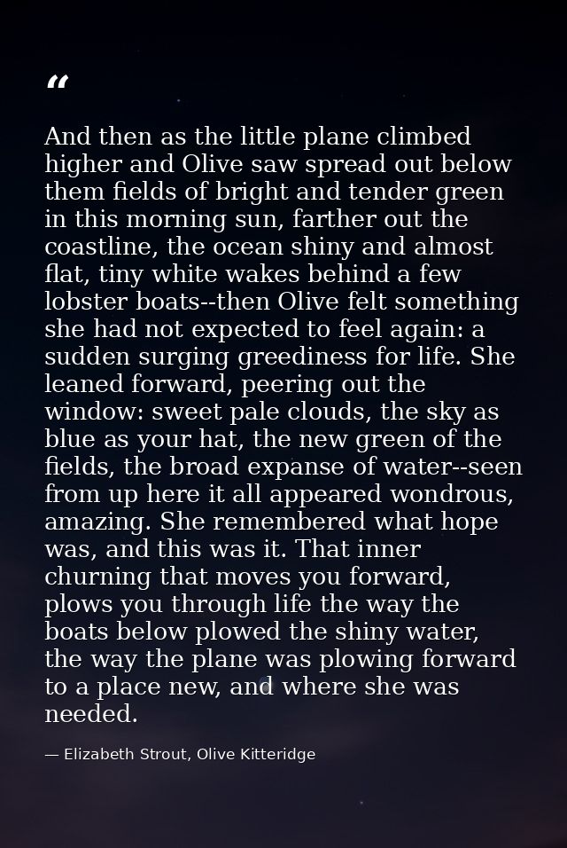 And then as the little plane climbed higher and Olive saw spread out below them fields of bright and tender green in thi — Elizabeth Strout, Olive Kitteridge