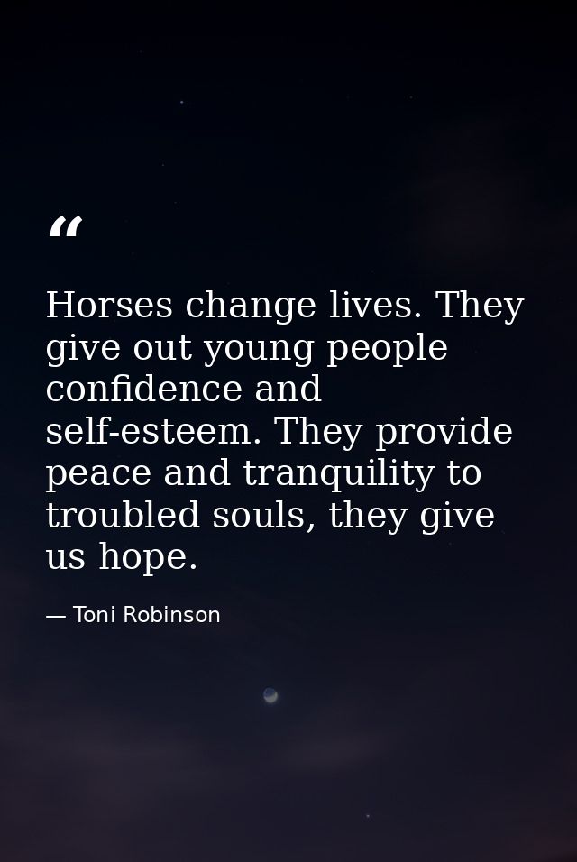 Horses change lives. They give out young people confidence and self-esteem. They provide peace and tranquility to troubl — Toni Robinson