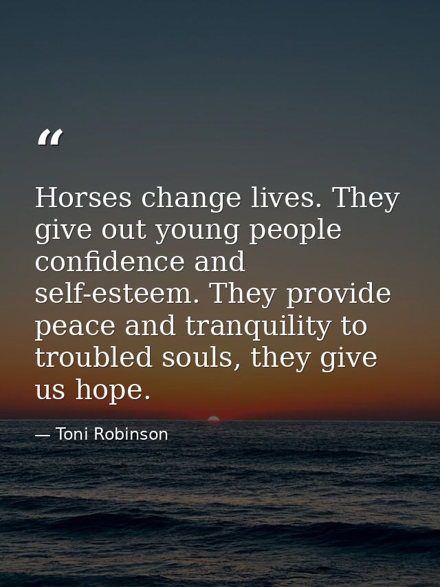 Horses change lives. They give out young people confidence and self-esteem. They provide peace and tranquility to troubl — Toni Robinson
