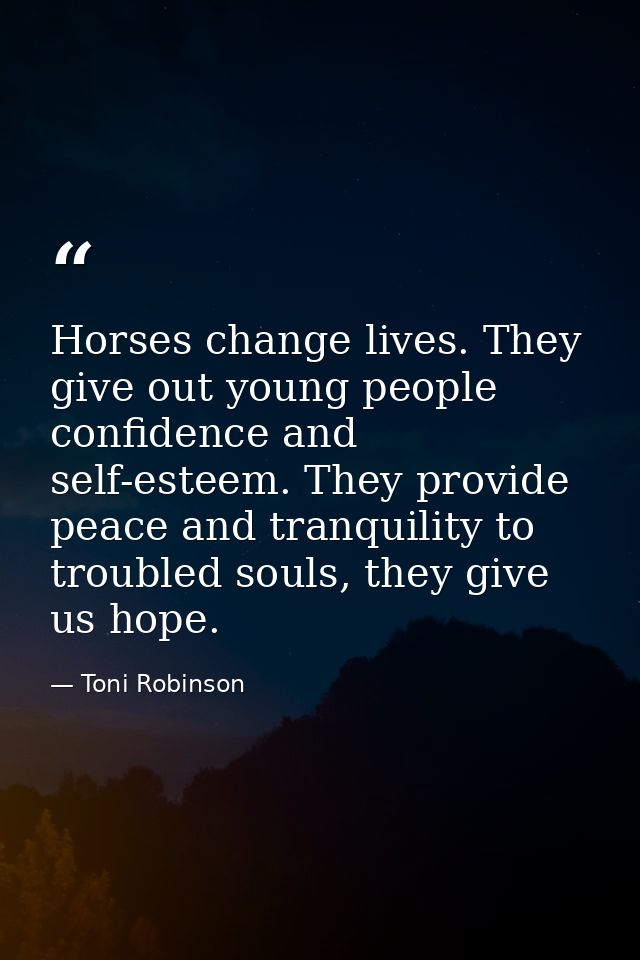Horses change lives. They give out young people confidence and self-esteem. They provide peace and tranquility to troubl — Toni Robinson