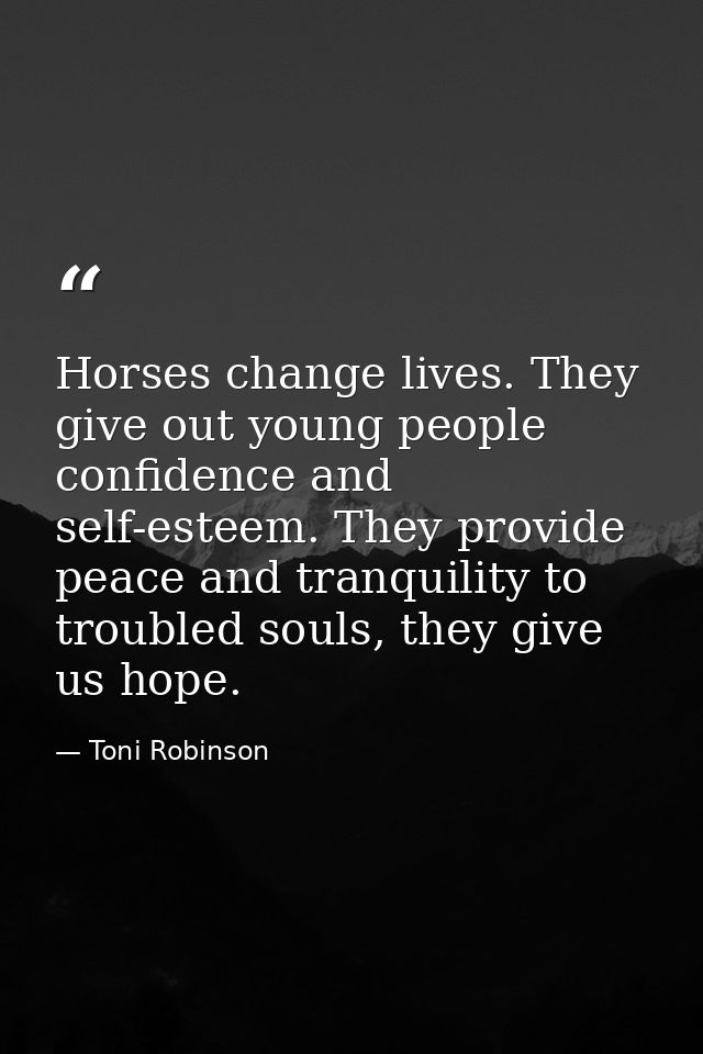 Horses change lives. They give out young people confidence and self-esteem. They provide peace and tranquility to troubl — Toni Robinson