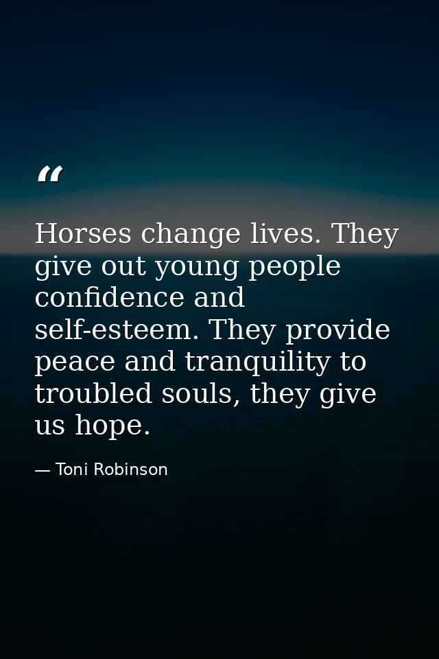 Horses change lives. They give out young people confidence and self-esteem. They provide peace and tranquility to troubl — Toni Robinson