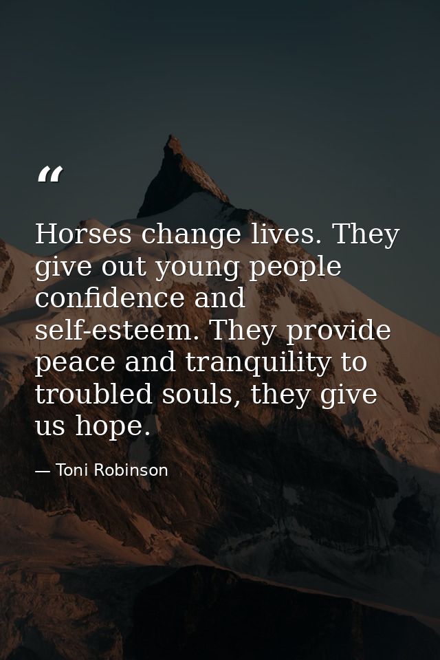 Horses change lives. They give out young people confidence and self-esteem. They provide peace and tranquility to troubl — Toni Robinson