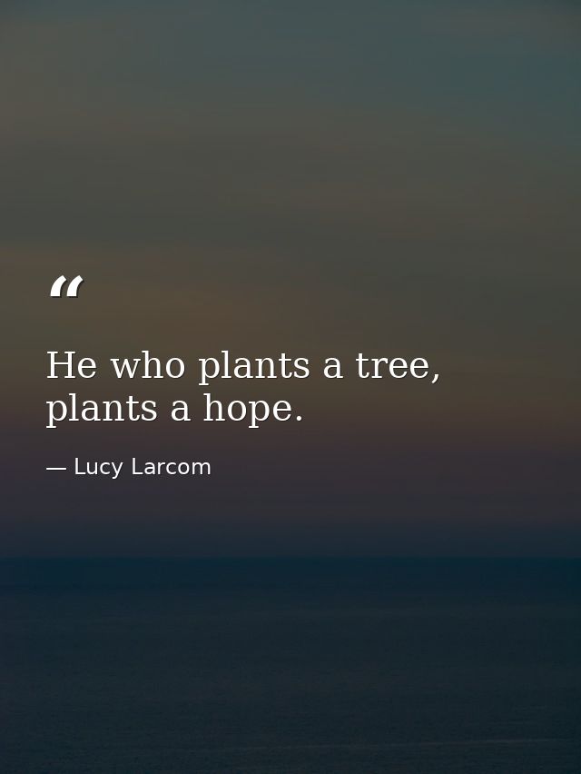 He who plants a tree, plants a hope. — Lucy Larcom