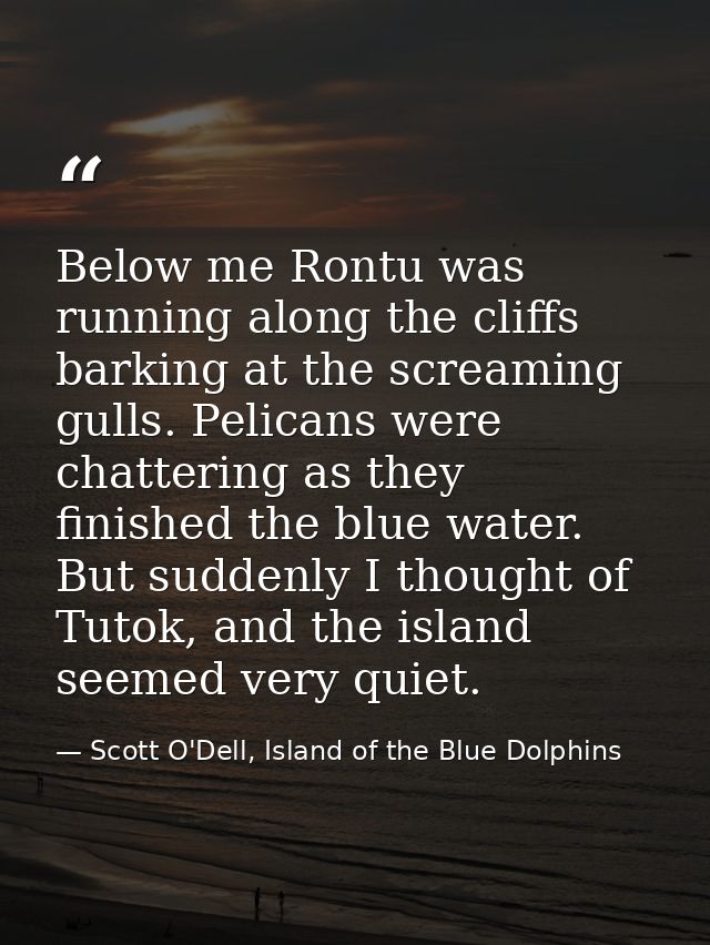 Below me Rontu was running along the cliffs barking at the screaming gulls. Pelicans were chattering as they finished th — Scott O'Dell, Island of the Blue Dolphins