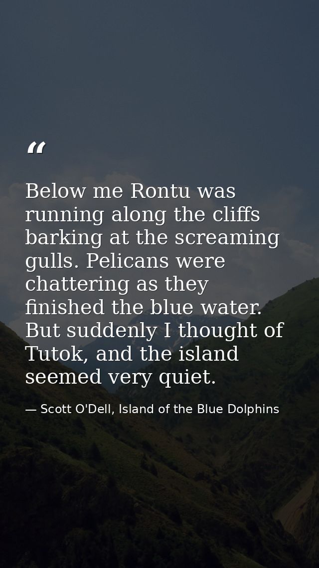 Below me Rontu was running along the cliffs barking at the screaming gulls. Pelicans were chattering as they finished th — Scott O'Dell, Island of the Blue Dolphins