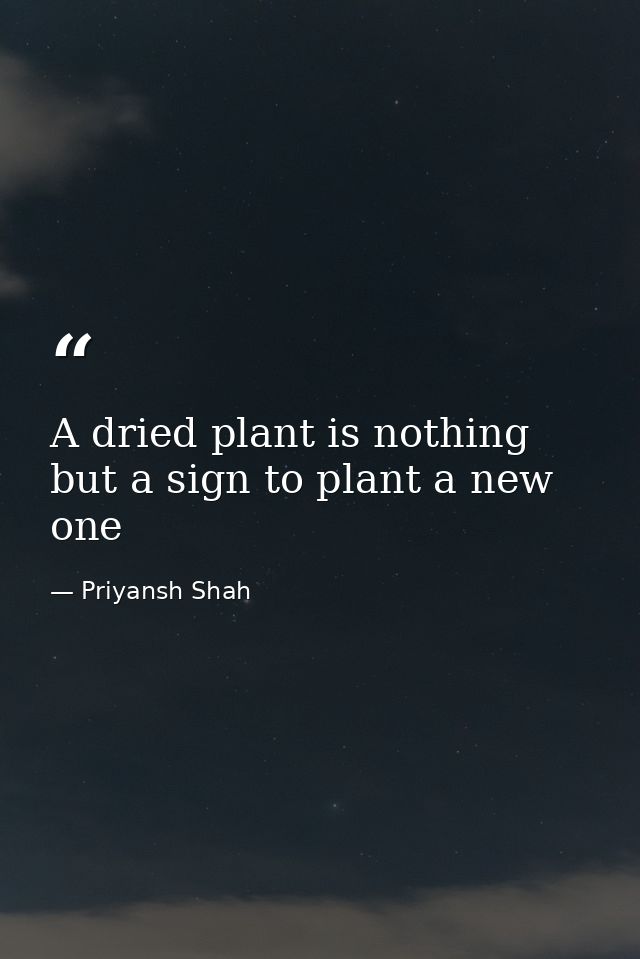 A dried plant is nothing but a sign to plant a new one — Priyansh Shah