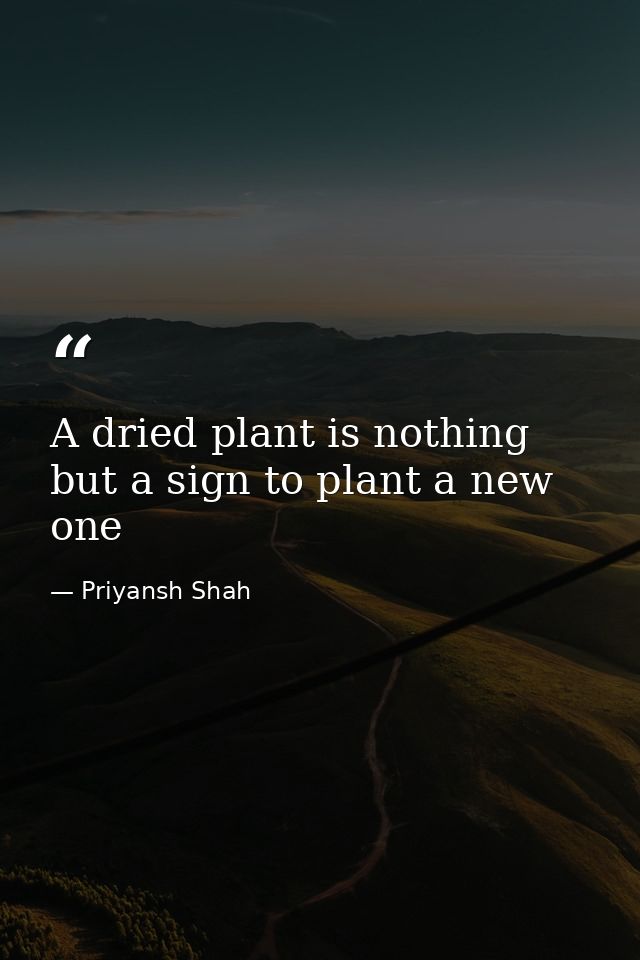 A dried plant is nothing but a sign to plant a new one — Priyansh Shah