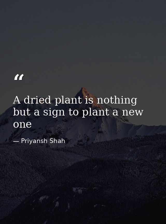 A dried plant is nothing but a sign to plant a new one — Priyansh Shah