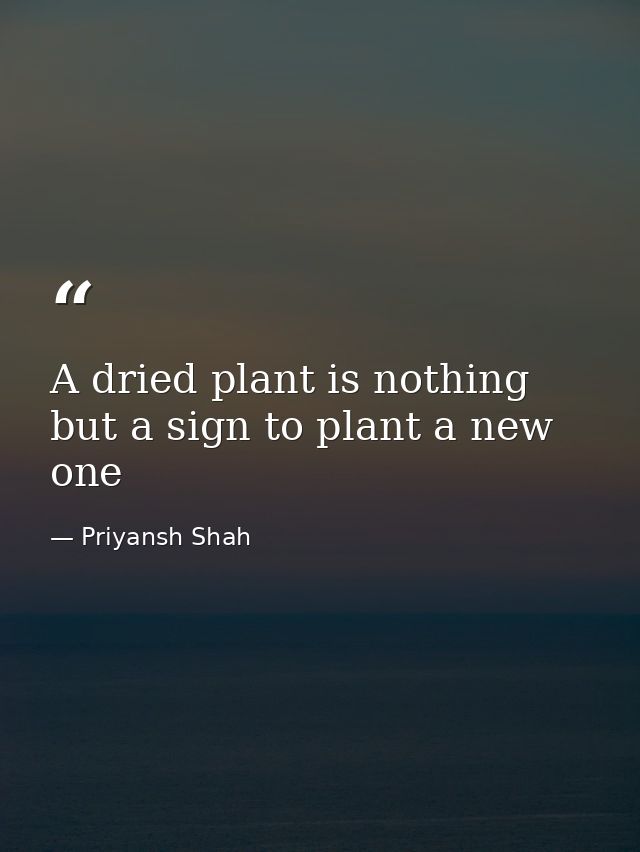 A dried plant is nothing but a sign to plant a new one — Priyansh Shah