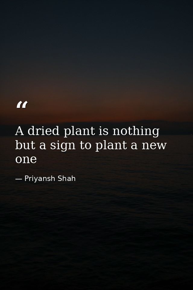 A dried plant is nothing but a sign to plant a new one — Priyansh Shah