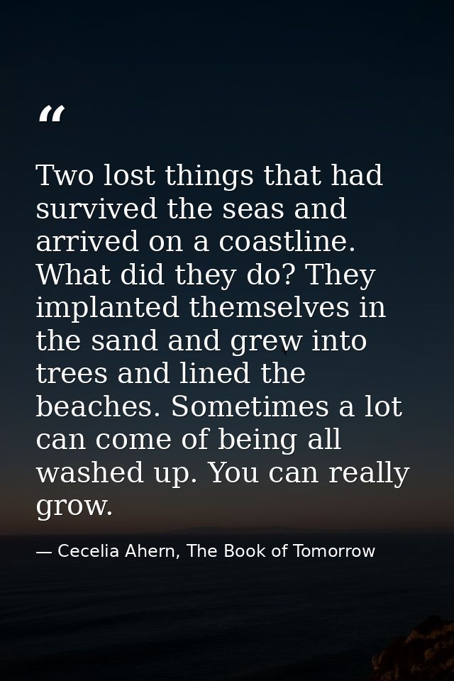 Two lost things that had survived the seas and arrived on a coastline. What did they do? They implanted themselves in th — Cecelia Ahern, The Book of Tomorrow