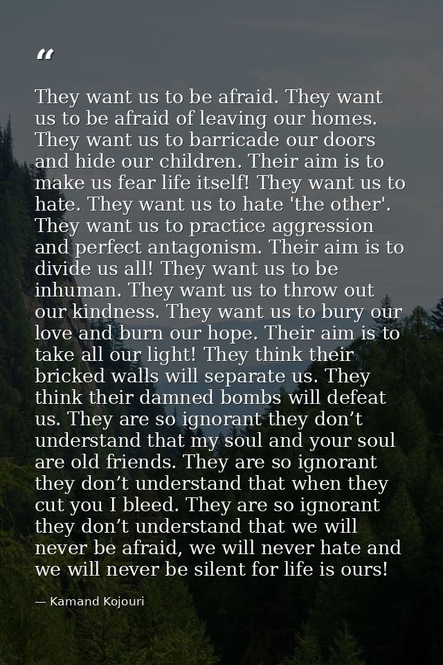 They want us to be afraid. They want us to be afraid of leaving our homes. They want us to barricade our doors and hide  — Kamand Kojouri