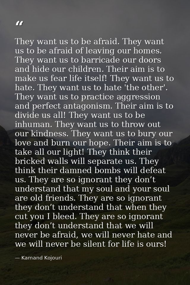 They want us to be afraid. They want us to be afraid of leaving our homes. They want us to barricade our doors and hide  — Kamand Kojouri