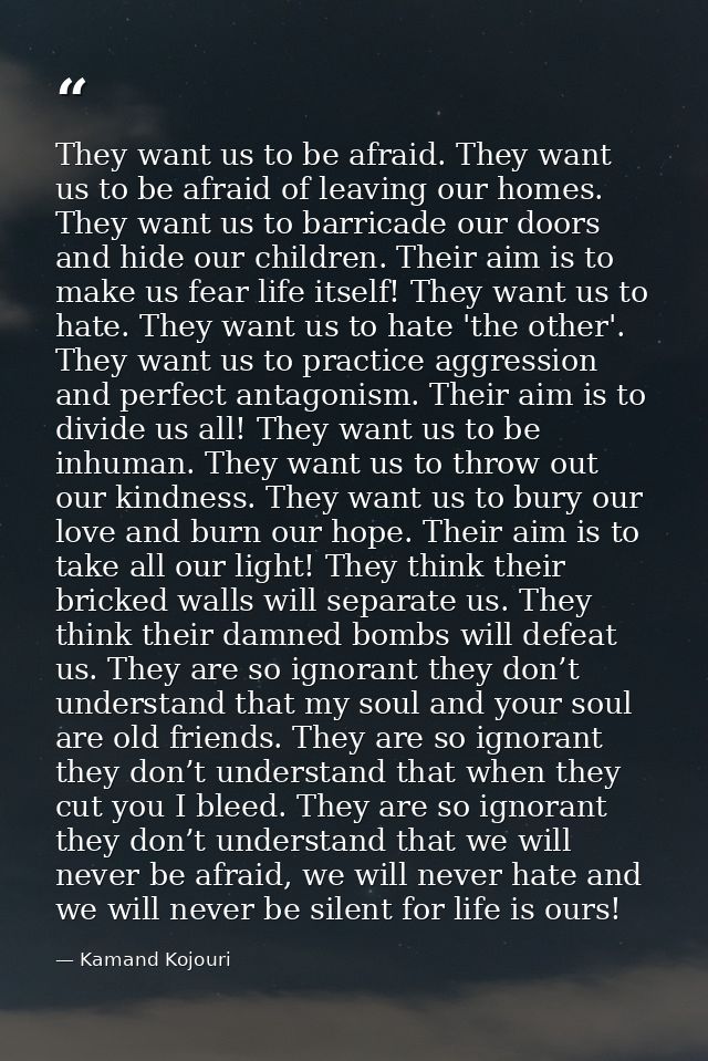 They want us to be afraid. They want us to be afraid of leaving our homes. They want us to barricade our doors and hide  — Kamand Kojouri