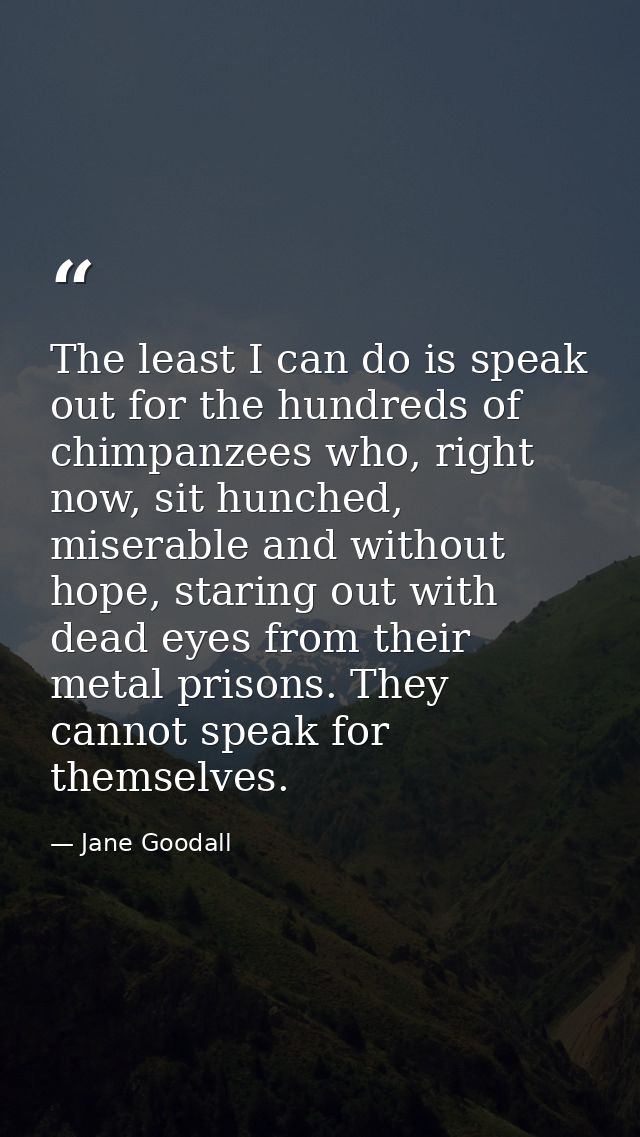 The least I can do is speak out for the hundreds of chimpanzees who, right now, sit hunched, miserable and without hope, — Jane Goodall