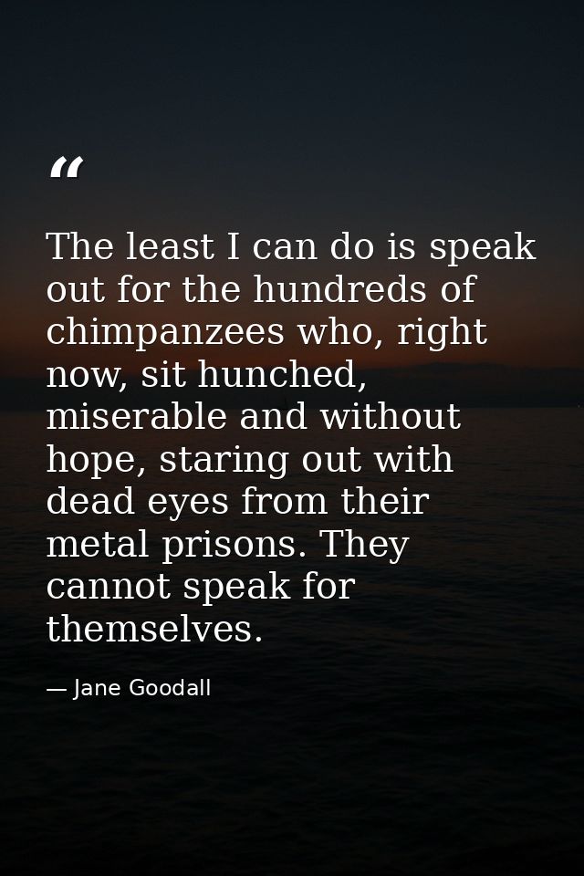 The least I can do is speak out for the hundreds of chimpanzees who, right now, sit hunched, miserable and without hope, — Jane Goodall