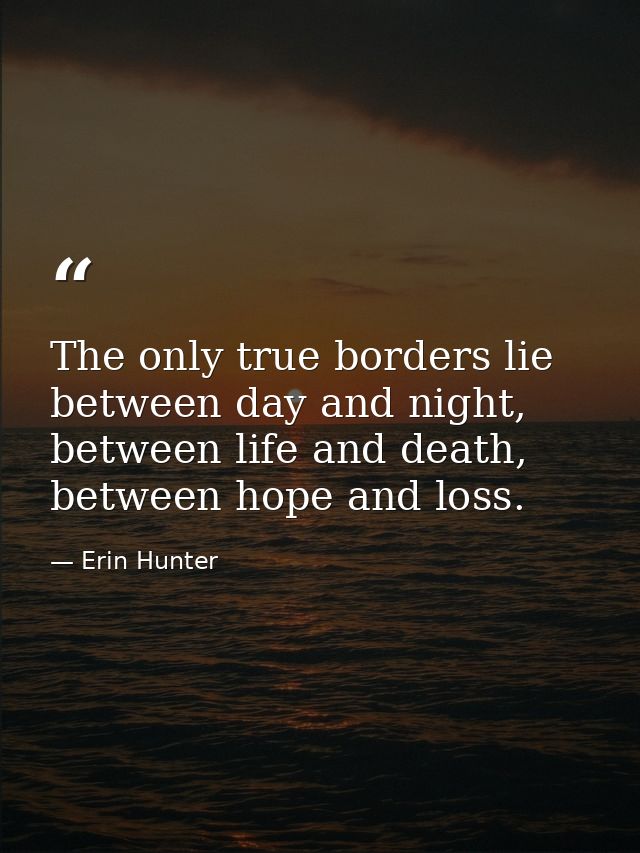 The only true borders lie between day and night, between life and death, between hope and loss. — Erin Hunter
