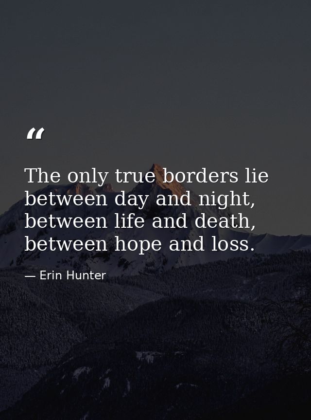 The only true borders lie between day and night, between life and death, between hope and loss. — Erin Hunter