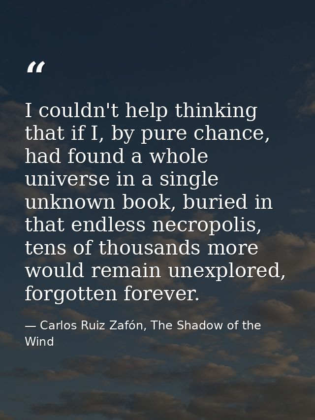 I couldn't help thinking that if I, by pure chance, had found a whole universe in a single unknown book, buried in that  — Carlos Ruiz Zafón, The Shadow of the Wind