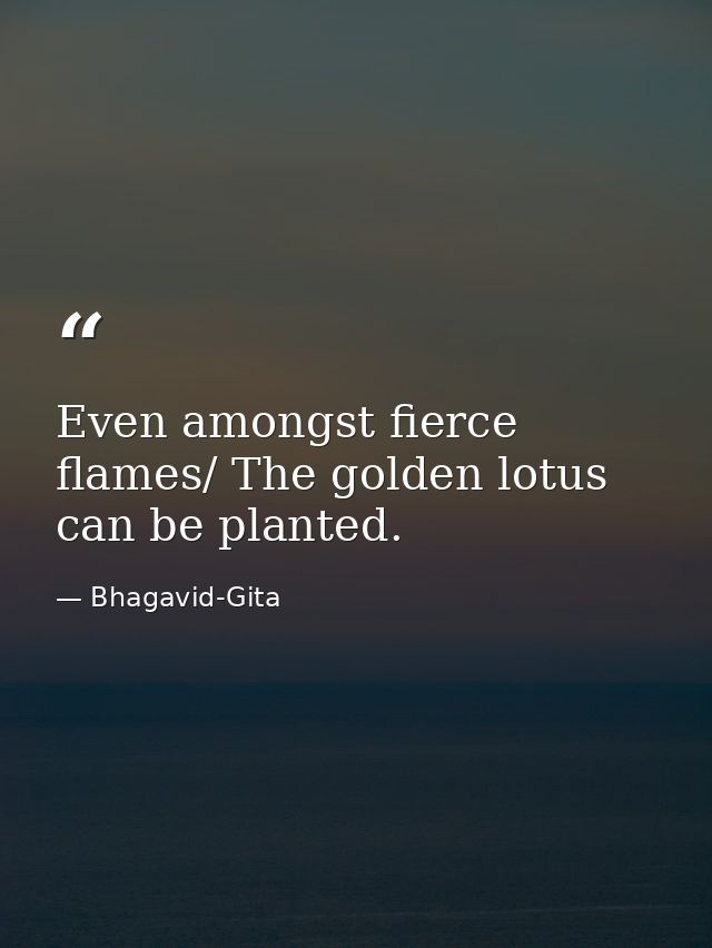 Even amongst fierce flames/ The golden lotus can be planted. — Bhagavid-Gita