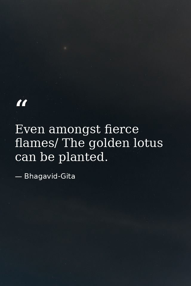 Even amongst fierce flames/ The golden lotus can be planted. — Bhagavid-Gita