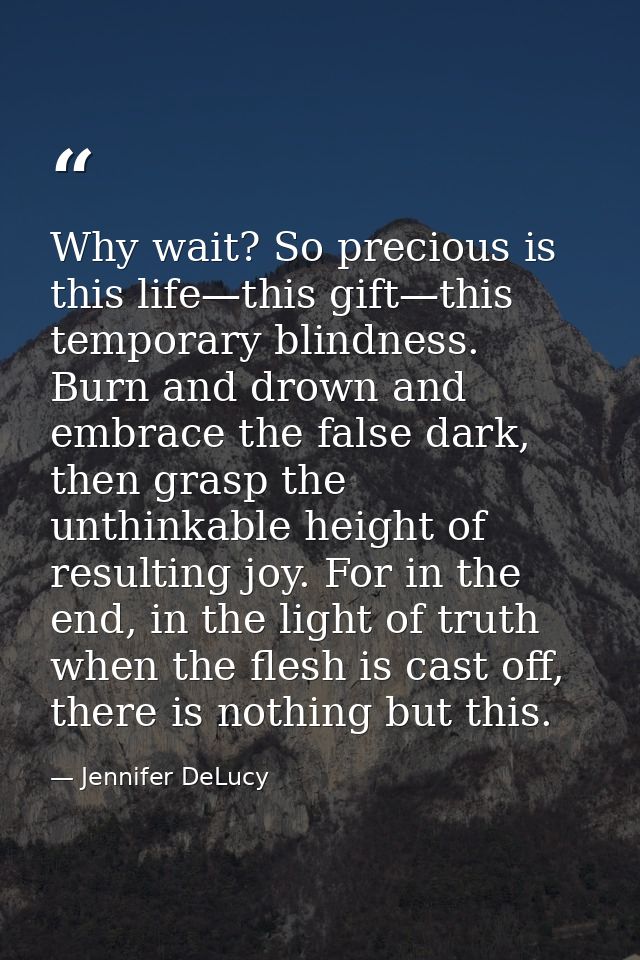Why wait? So precious is this life—this gift—this temporary blindness. Burn and drown and embrace the false dark, then g — Jennifer DeLucy