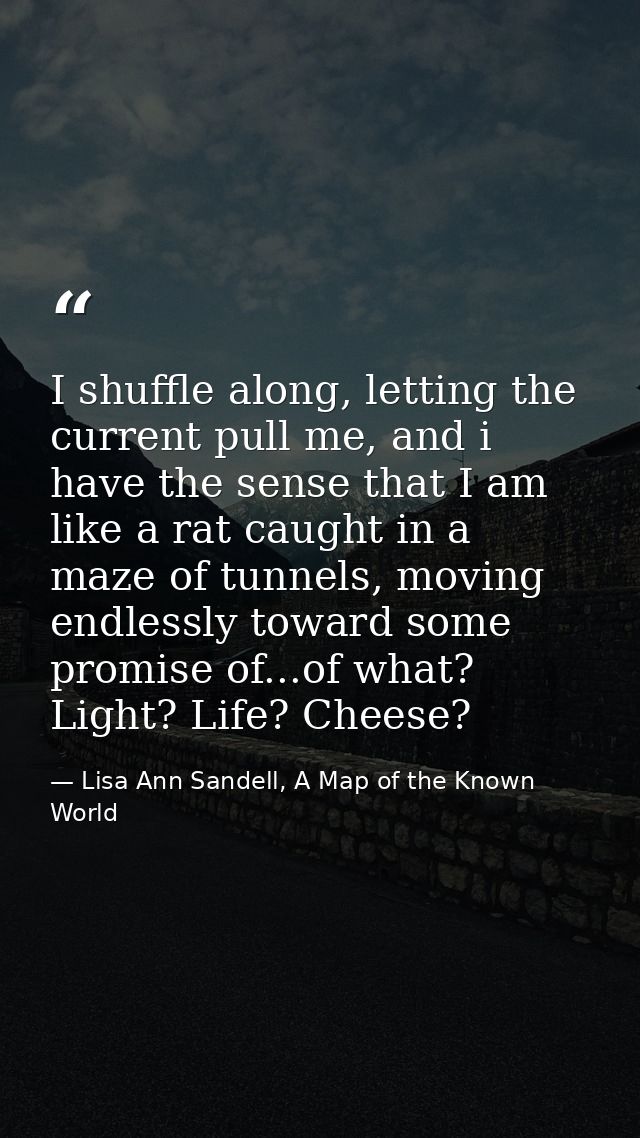I shuffle along, letting the current pull me, and i have the sense that I am like a rat caught in a maze of tunnels, mov — Lisa Ann Sandell, A Map of the Known World