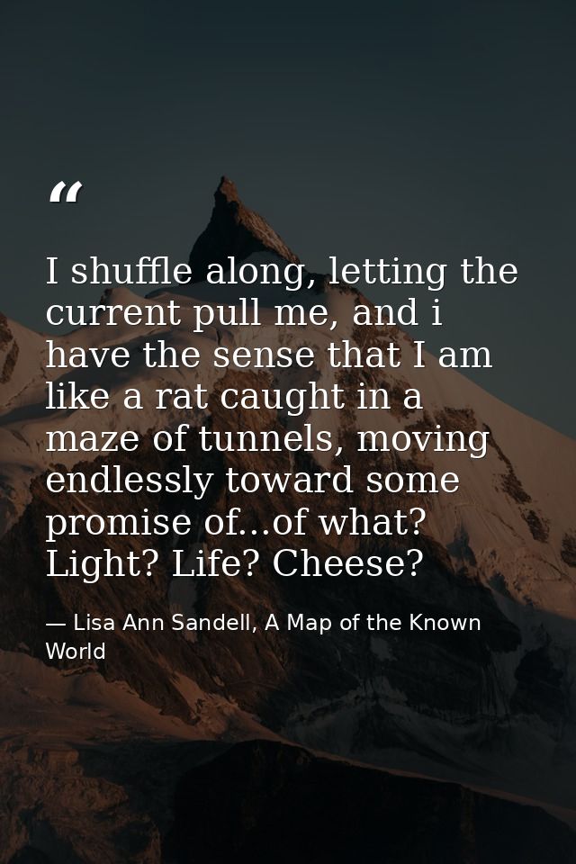 I shuffle along, letting the current pull me, and i have the sense that I am like a rat caught in a maze of tunnels, mov — Lisa Ann Sandell, A Map of the Known World