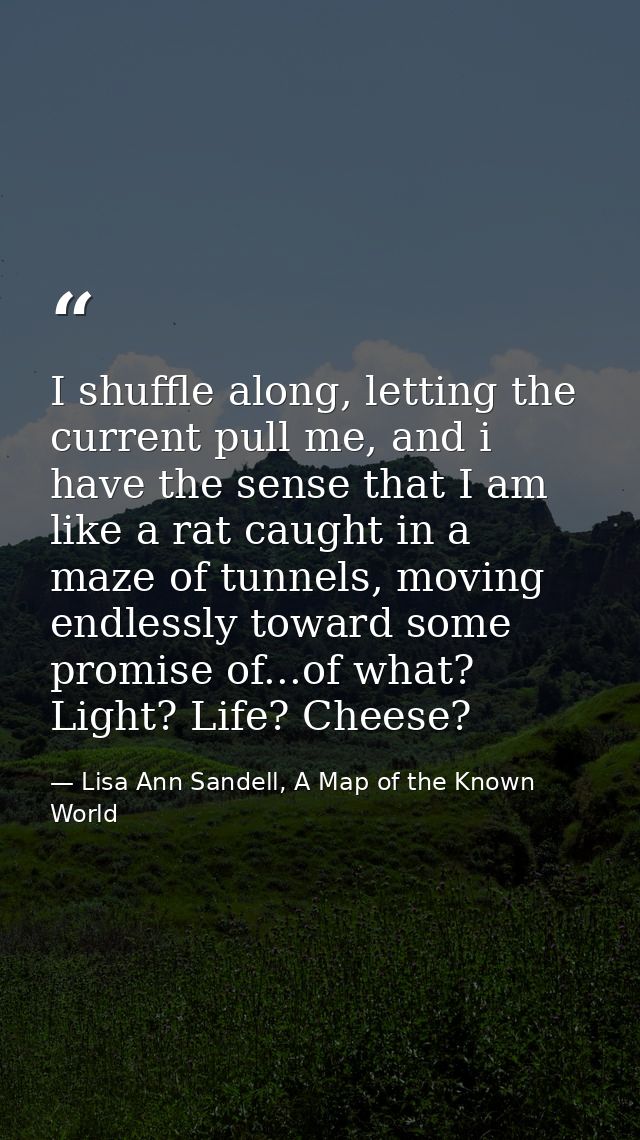 I shuffle along, letting the current pull me, and i have the sense that I am like a rat caught in a maze of tunnels, mov — Lisa Ann Sandell, A Map of the Known World