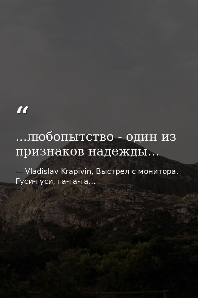 ...любопытство - один из признаков надежды... — Vladislav Krapivin, Выстрел с монитора. Гуси-гуси, га-га-га...