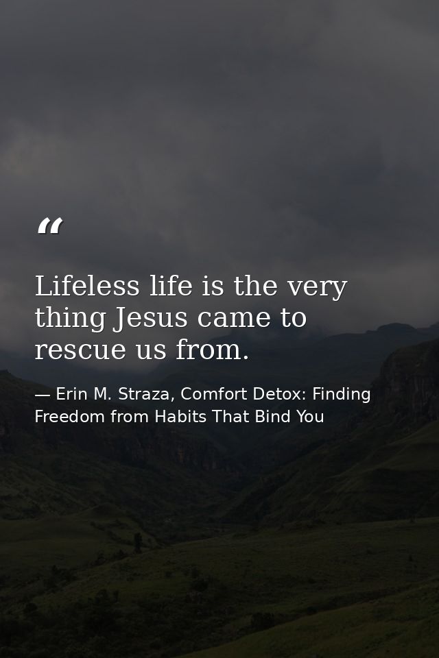 Lifeless life is the very thing Jesus came to rescue us from. — Erin M. Straza, Comfort Detox: Finding Freedom from Habits That Bind You